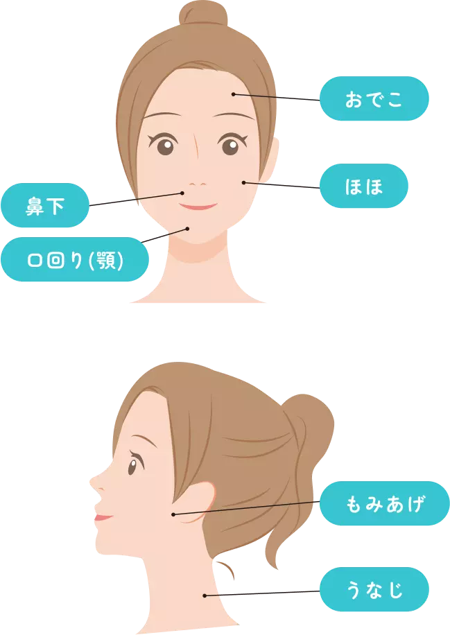 顔から首までの部位の名称を示したイラスト